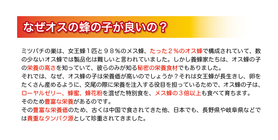 なぜオスの蜂の子が良いの？ミツバチの巣は、女王蜂１匹と９８％のメス蜂、たった２％のオス蜂で構成されていて、数の少ないオス蜂では製品化は難しいと言われていました。しかし養蜂家たちは、オス蜂の子の栄養の高さを知っていて、彼らのみが知る秘密の栄養食材でもありました。それでは、なぜ、オス蜂の子は栄養価が高いのでしょうか？それは女王蜂が長生きし、卵をたくさん産めるように、交尾の際に栄養を注入する役目を担っているためで、オス蜂の子は、ローヤルゼリー、蜂蜜、蜂花粉を混ぜた特別食を、メス蜂の３倍以上も食べて育ちます。そのため豊富な栄養があるのです。その豊富な栄養価のため、古くは中国で食されてきた他、日本でも、長野県や岐阜県などでは貴重なタンパク源として珍重されてきました。